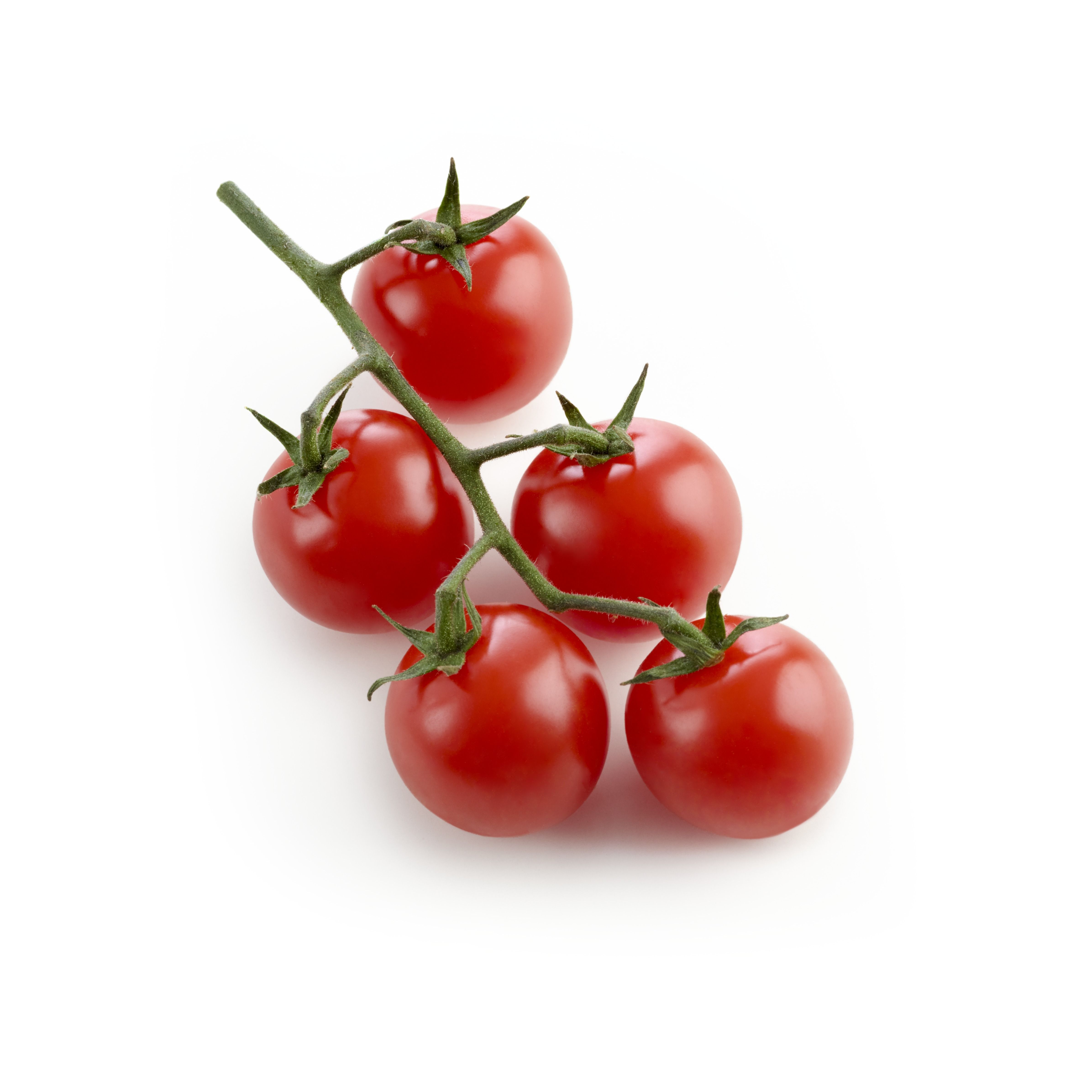 Top 25 Bloat-Reducing Foods: Expert-Backed Solutions