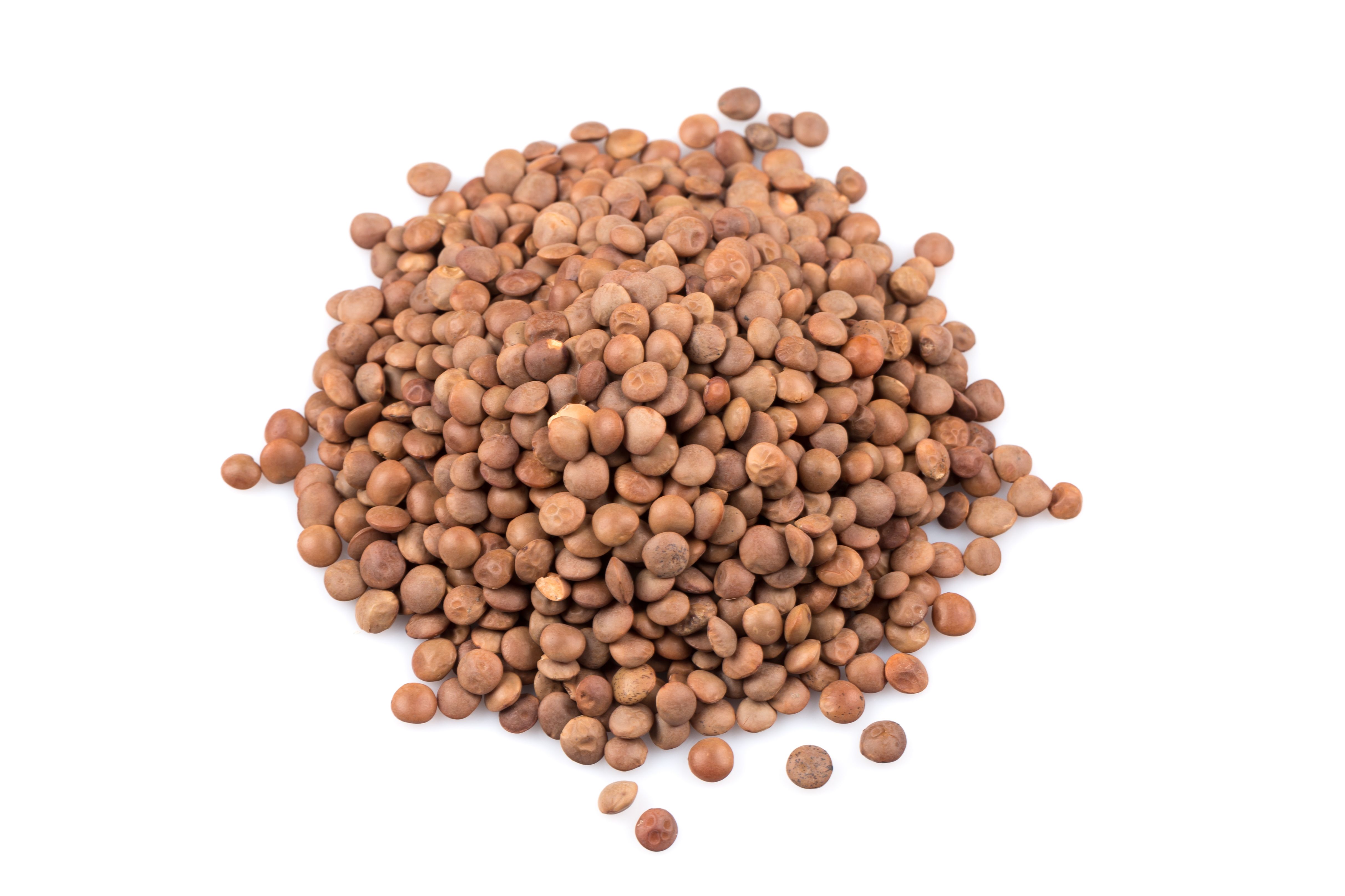 Top 25 Bloat-Reducing Foods: Expert-Backed Solutions
