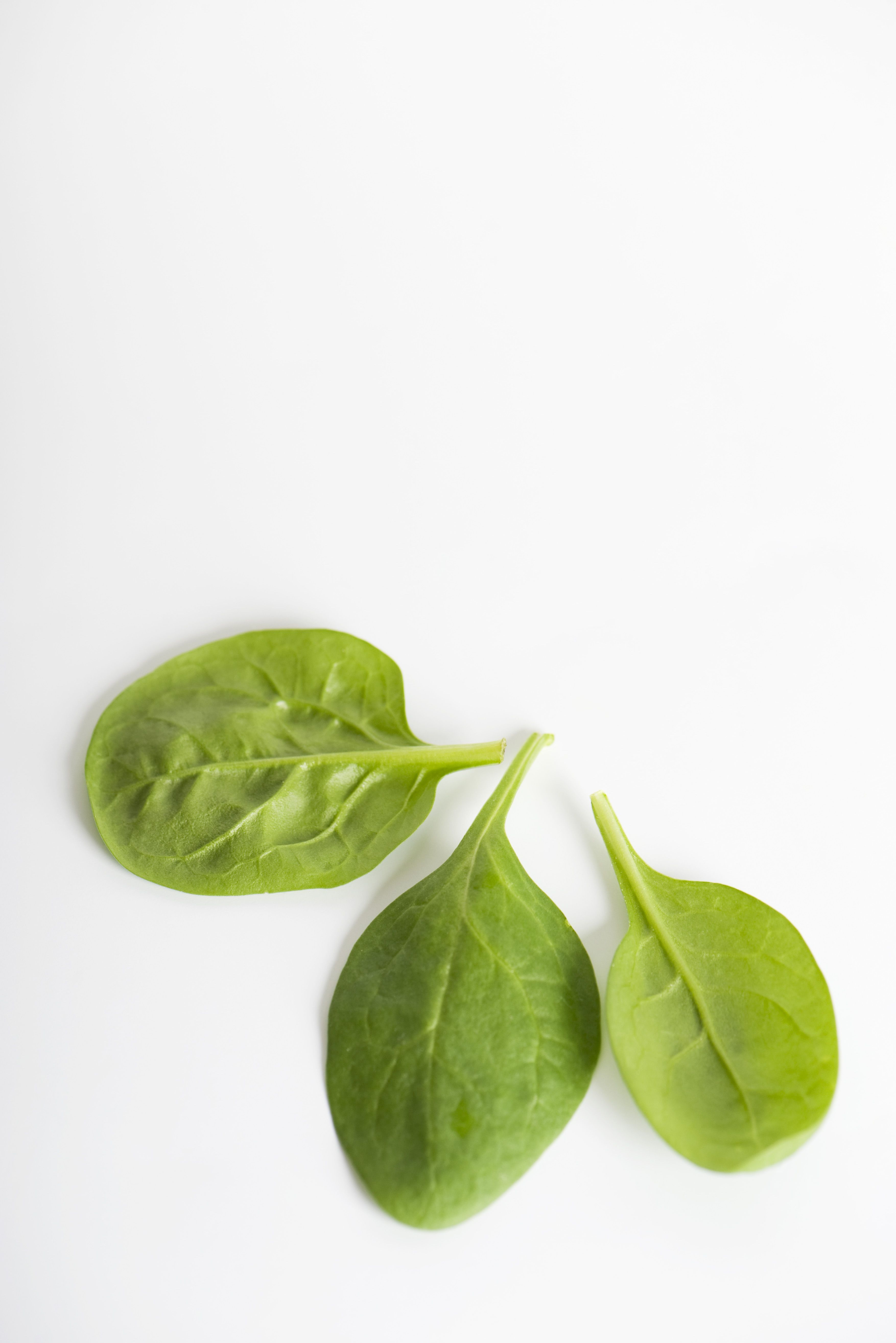 Top 25 Bloat-Reducing Foods: Expert-Backed Solutions
