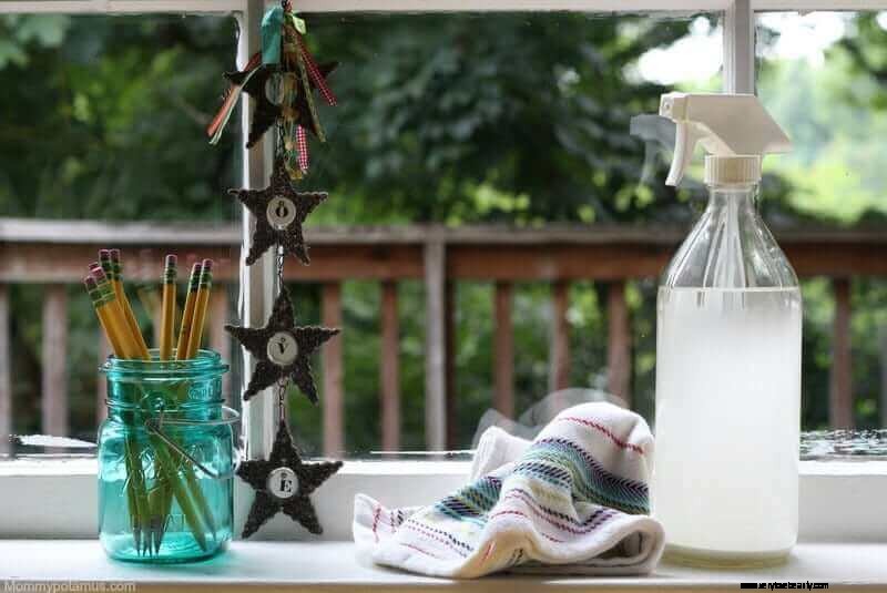 Streak-Free DIY Window & Glass Cleaner | Easy Homemade Recipe