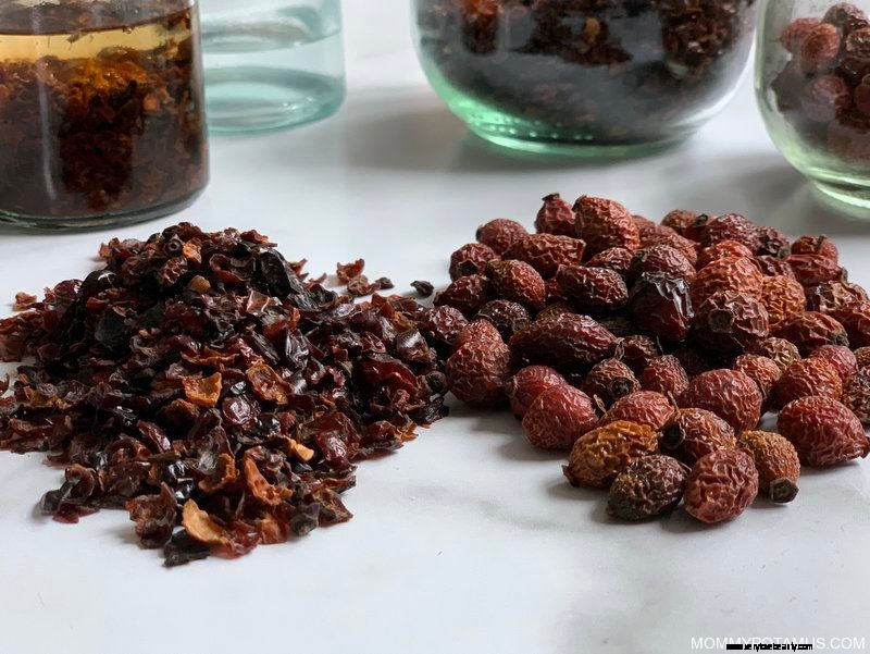 Rosehips: Uncover 7 Powerful Health Benefits & a Delicious Tea Recipe