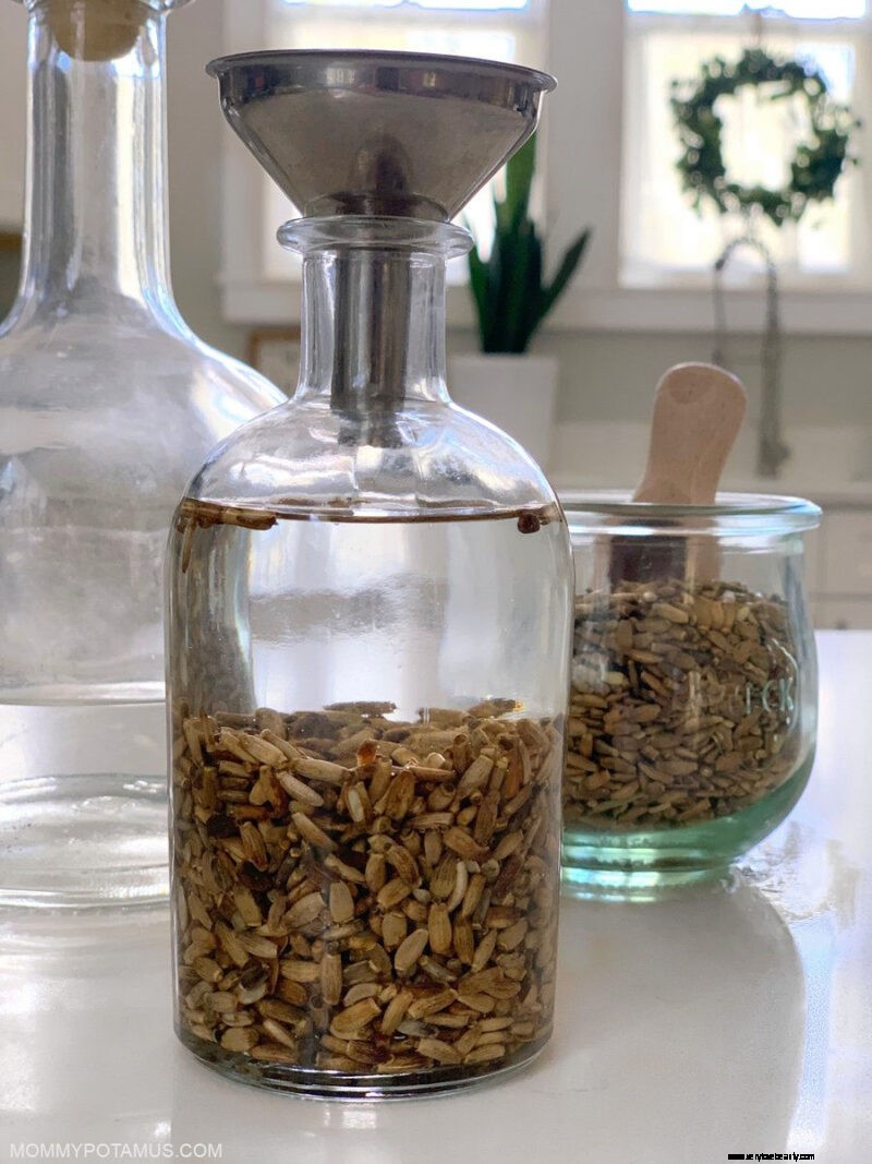 Milk Thistle: 8 Proven Benefits & Effective Usage Guide