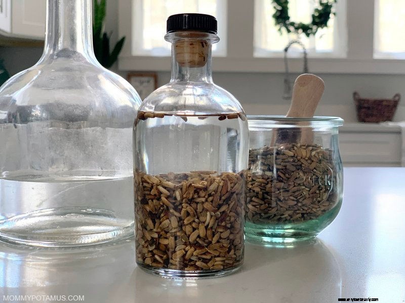 Milk Thistle: 8 Proven Benefits & Effective Usage Guide
