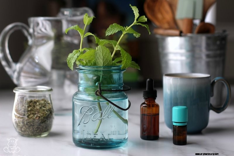 Lemon Balm: Benefits, Recipes & Uses for Relaxation and Sleep