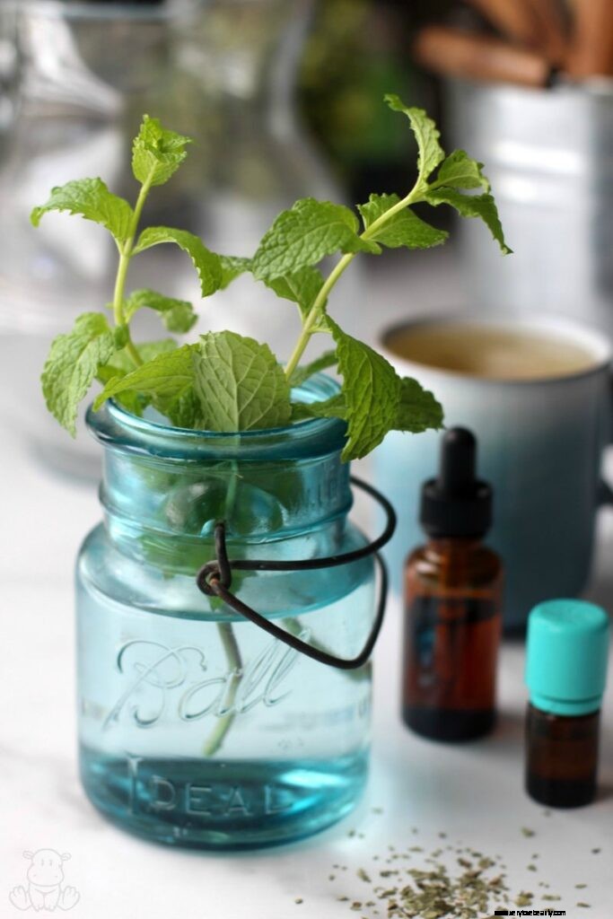 Milk Thistle: 8 Proven Benefits & Effective Usage Guide