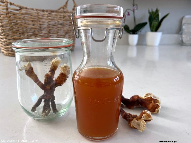 DIY Reishi Tincture: Extraction Guide & Health Benefits
