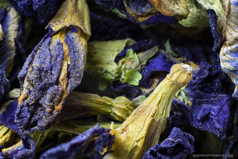 Butterfly Pea Flower Tea: Benefits, Magic & a Delicious Recipe