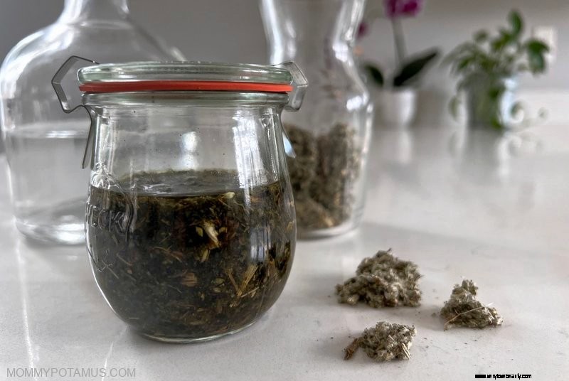 Artichoke Leaf Benefits & Uses: A Comprehensive Guide