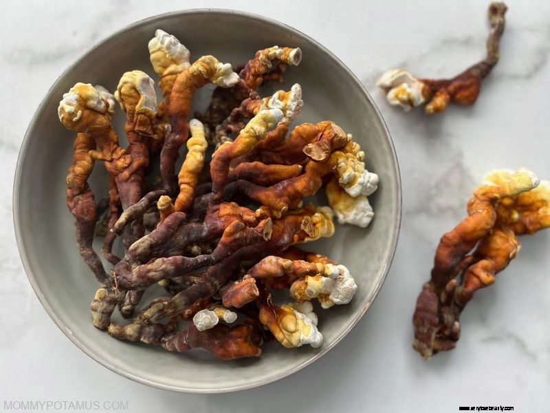 DIY Reishi Tincture: Extraction Guide & Health Benefits