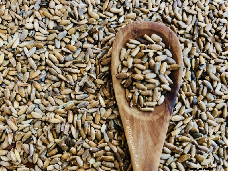 DIY Liver Detox Tincture: A Natural Support Recipe