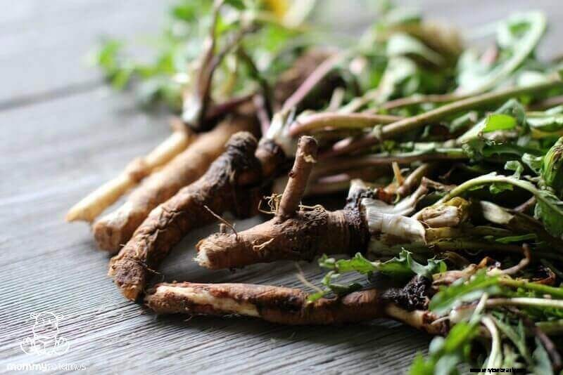 DIY Liver Detox Tincture: A Natural Support Recipe