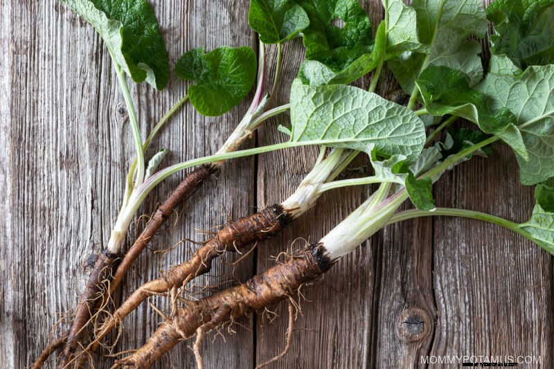 DIY Liver Detox Tincture: A Natural Support Recipe