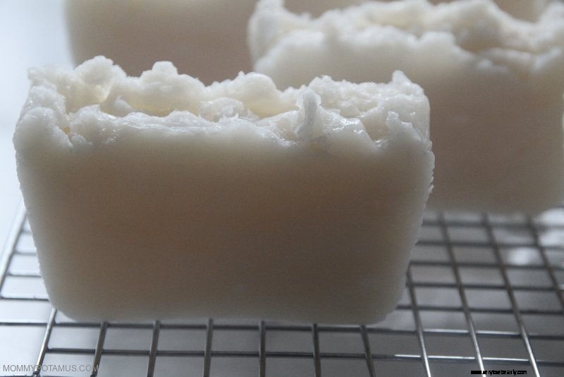 DIY Coconut Oil Shampoo Bar: Natural Hair Care Recipe & Tutorial