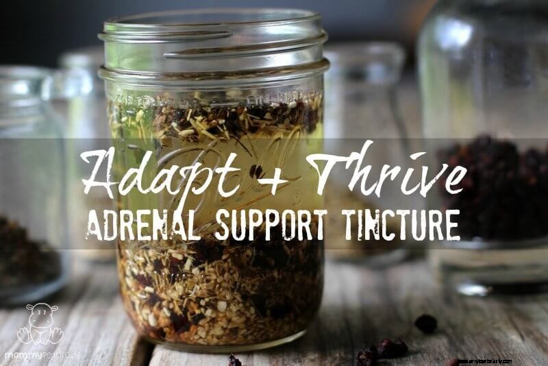 Adapt + Thrive: Natural Adrenal Support for Stress & Fatigue