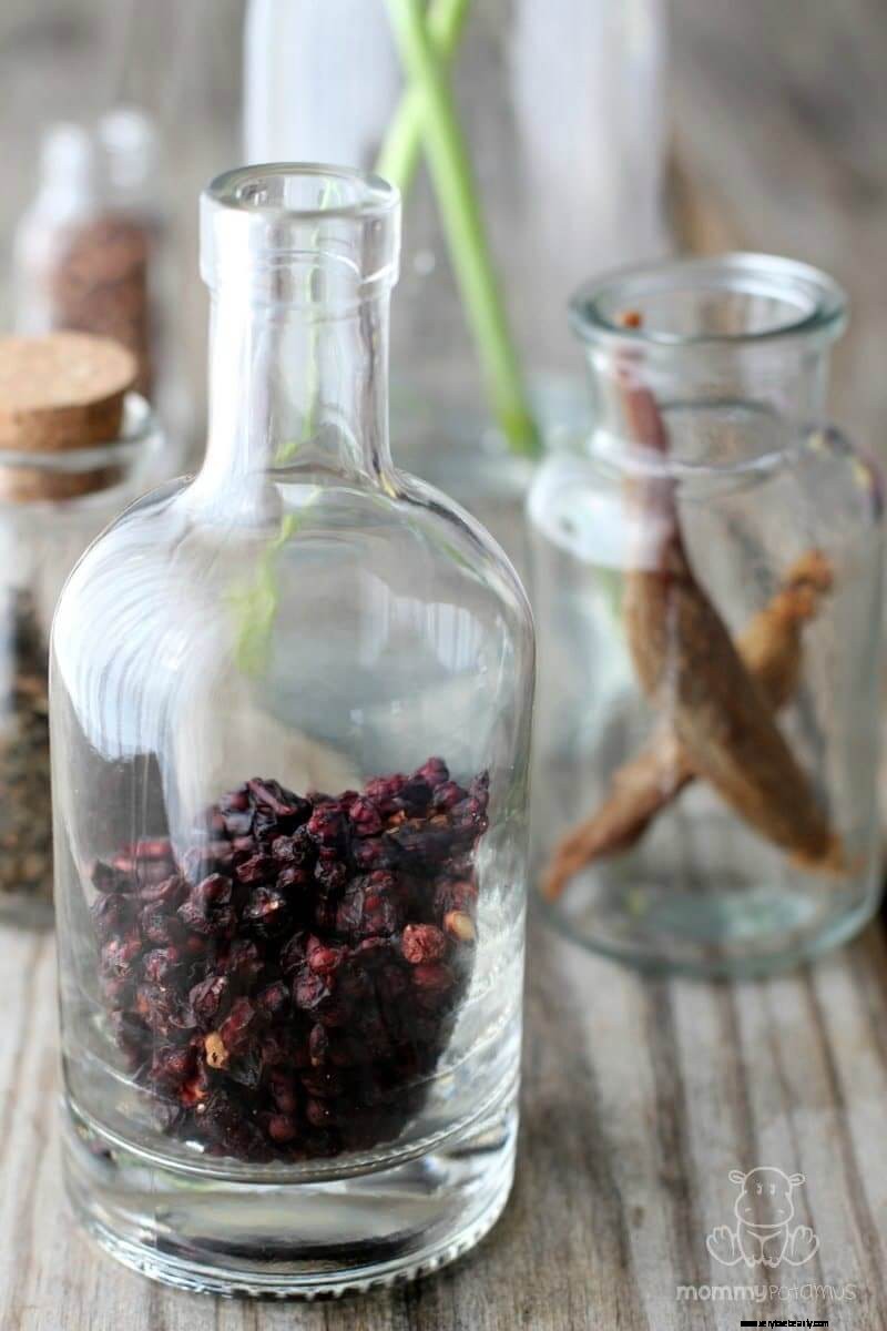 Schisandra Berry Syrup Recipe: Boost Immunity Naturally