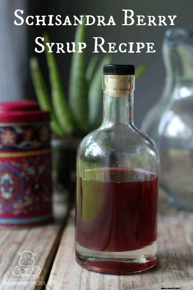 Schisandra Berry Syrup Recipe: Boost Immunity Naturally