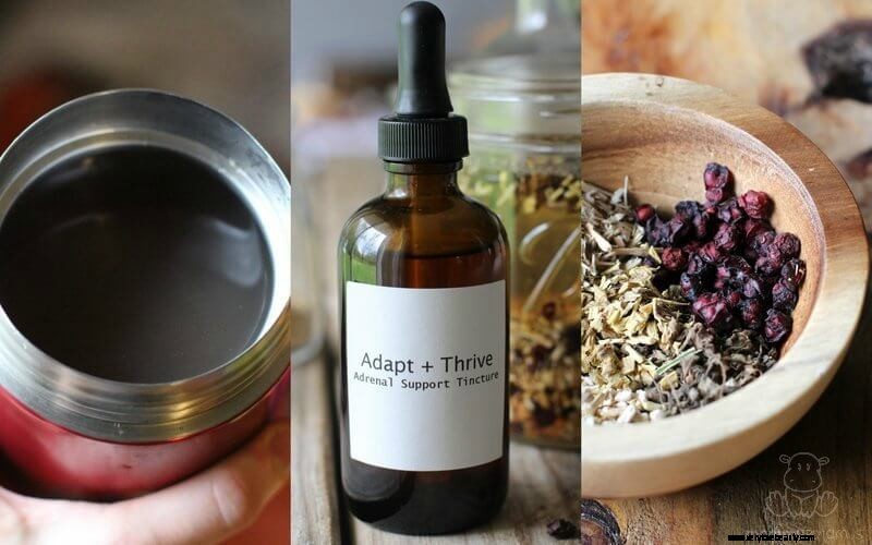 Adapt + Thrive: Natural Adrenal Support for Stress & Fatigue