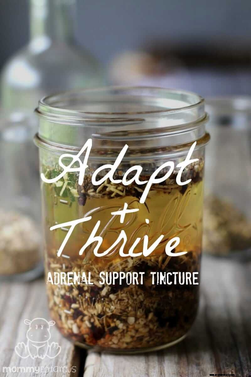 Adapt + Thrive: Natural Adrenal Support for Stress & Fatigue