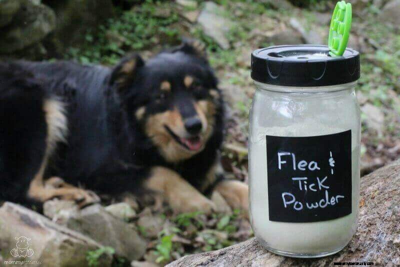DIY Natural Flea & Tick Powder for Dogs - Safe & Effective Recipe