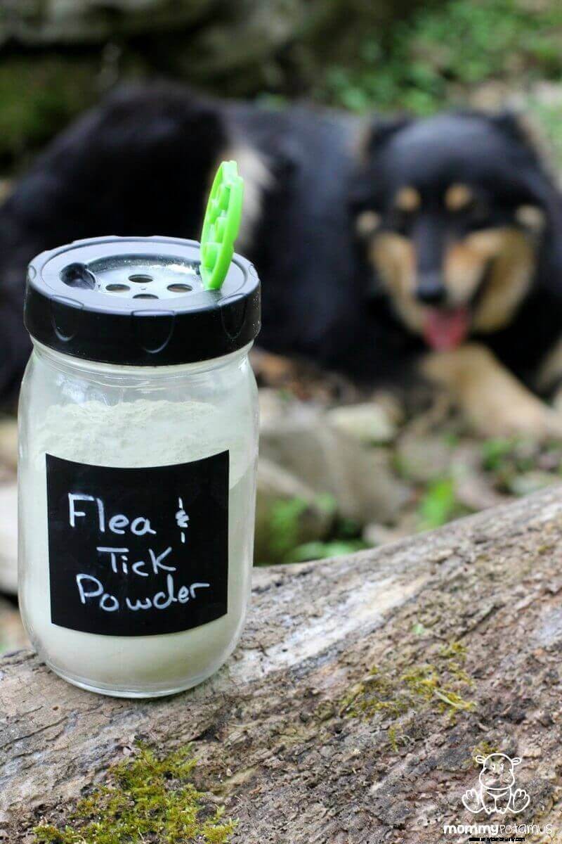 DIY Natural Flea & Tick Powder for Dogs - Safe & Effective Recipe