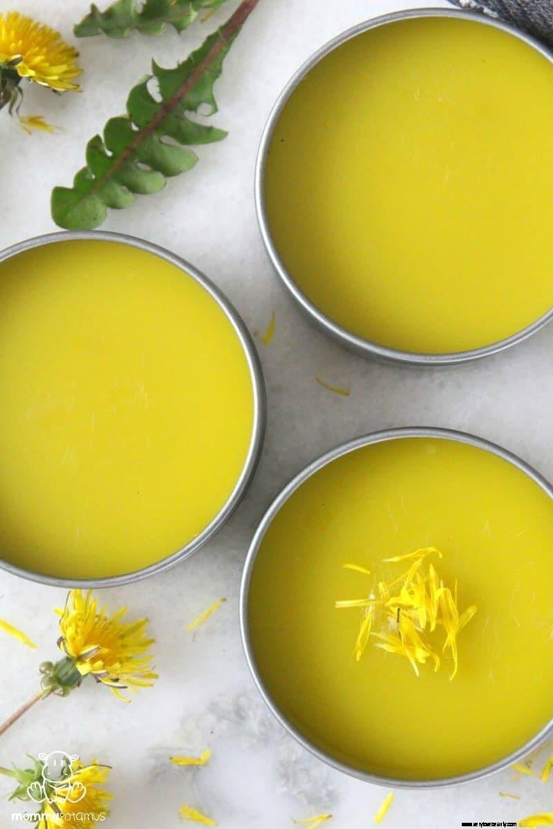 Dandelion Salve: A Natural Healing Balm Recipe with Powerful Benefits