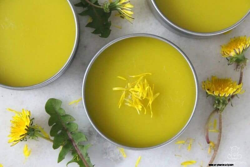 Dandelion Salve: A Natural Healing Balm Recipe with Powerful Benefits