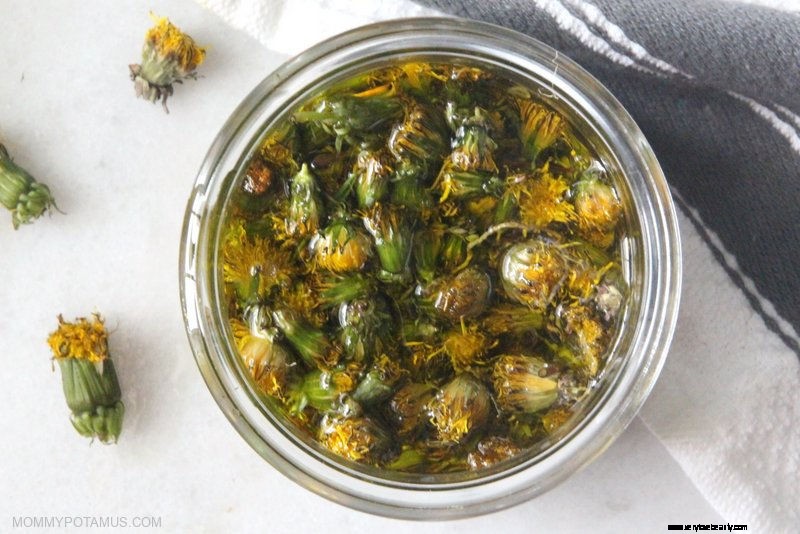 Dandelion Oil: Extraction, Benefits & 5 Creative Uses