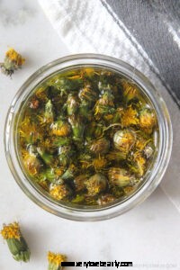 Dandelion Oil: Extraction, Benefits & 5 Creative Uses