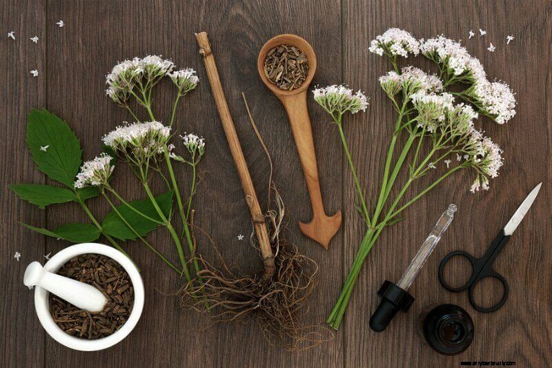 Valerian Root: Benefits, Uses & DIY Tincture/Tea Recipes