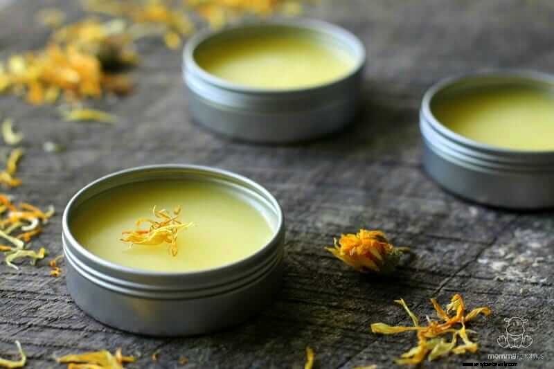 DIY Calendula Salve: A Natural Healing Balm Recipe