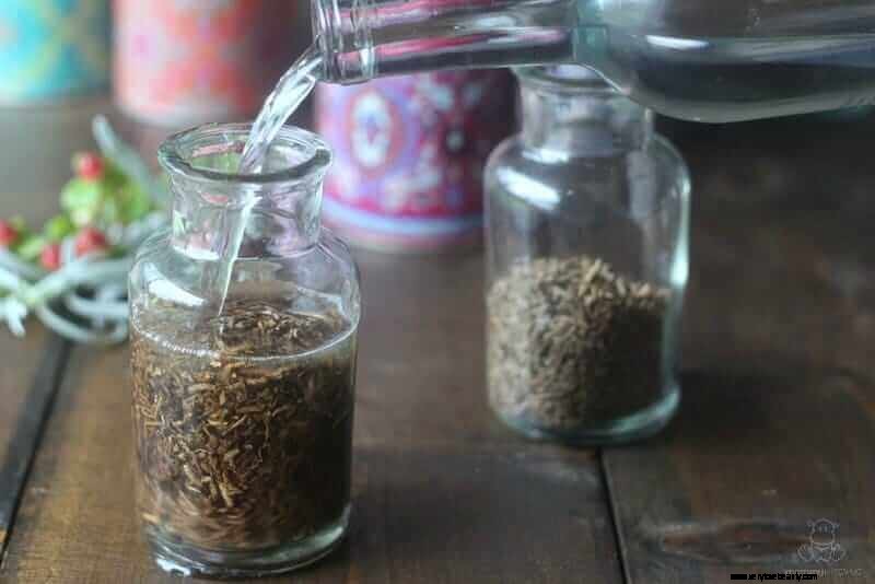 Valerian Root: Benefits, Uses & DIY Tincture/Tea Recipes