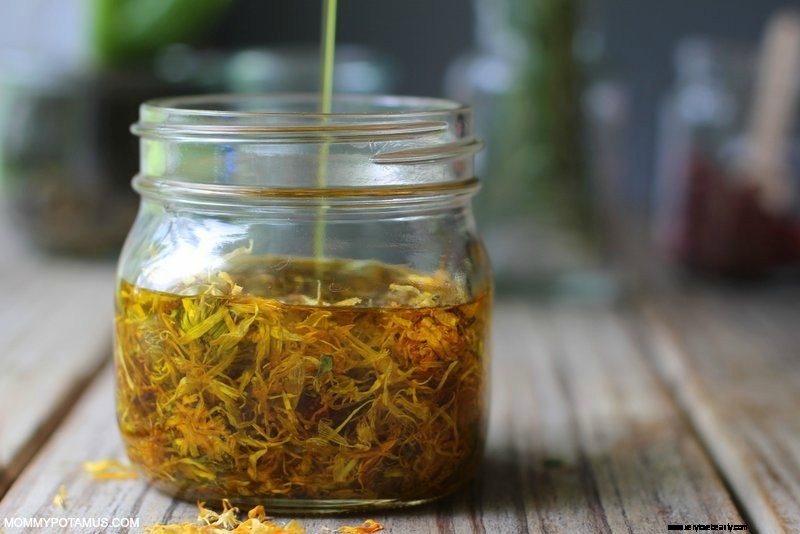 Calendula Oil: Benefits, DIY Recipe & 7 Creative Uses