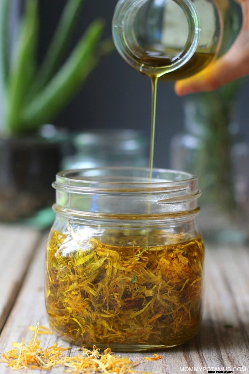 Calendula Oil: Benefits, DIY Recipe & 7 Creative Uses
