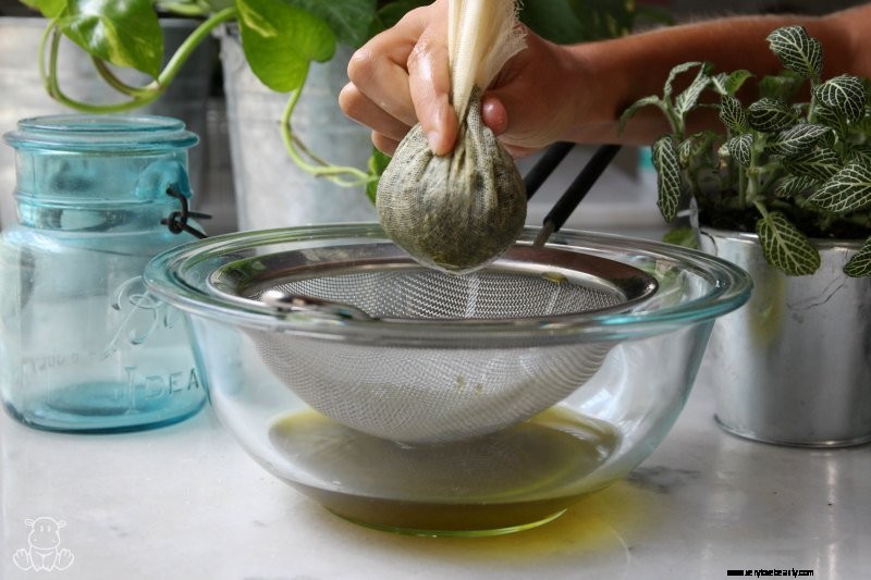 Plantain Salve: Natural First Aid Ointment for Minor Injuries