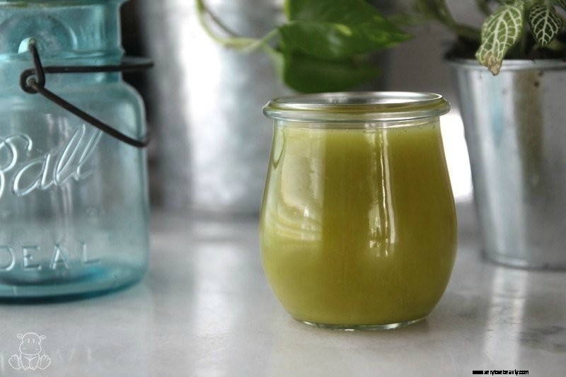 Plantain Salve: Natural First Aid Ointment for Minor Injuries