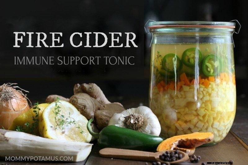 Authentic Fire Cider Recipe & 6 Powerful Health Uses
