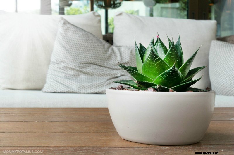 Top Air Purifiers of 2023: Breathe Cleaner, Healthier Air