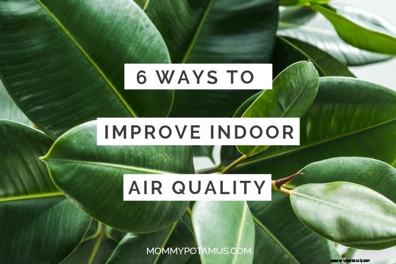Improve Your Home s Air Quality: 9 Proven Methods