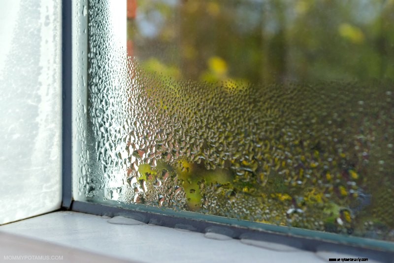 Improve Your Home s Air Quality: 9 Proven Methods