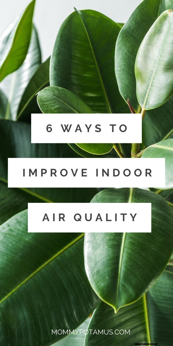 Improve Your Home s Air Quality: 9 Proven Methods