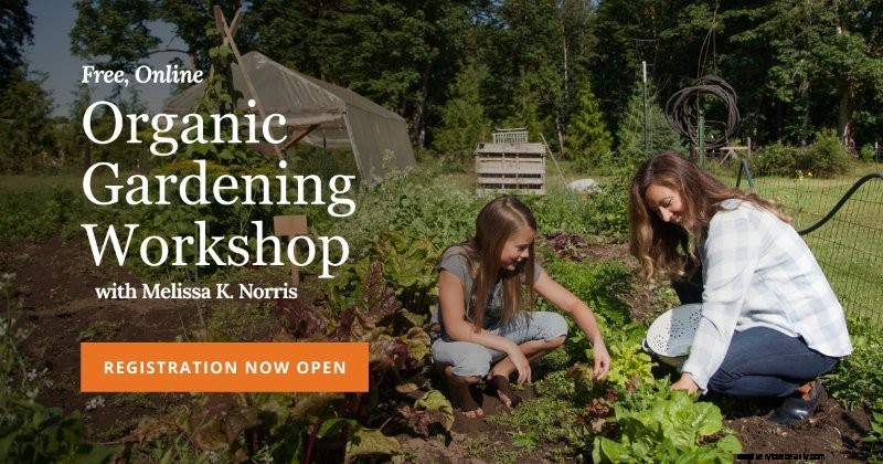Beginner s Guide to Vegetable Gardening: Start Growing Your Own Food