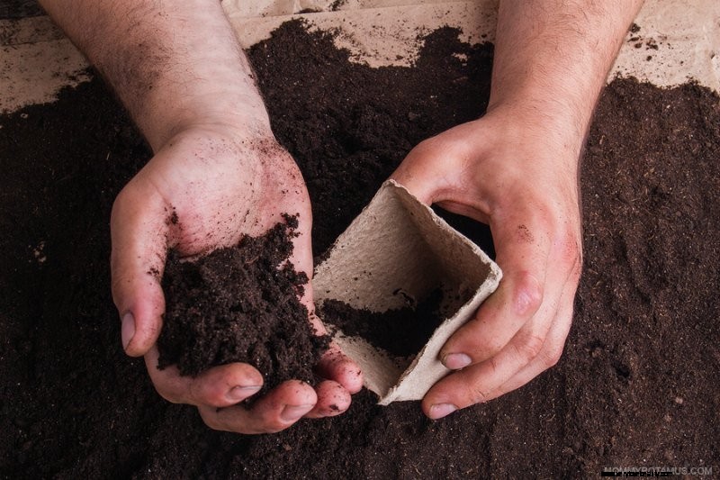 Beginner s Guide to Vegetable Gardening: Start Growing Your Own Food