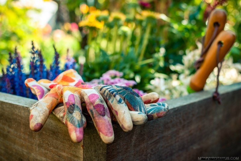 Beginner s Guide to Vegetable Gardening: Start Growing Your Own Food