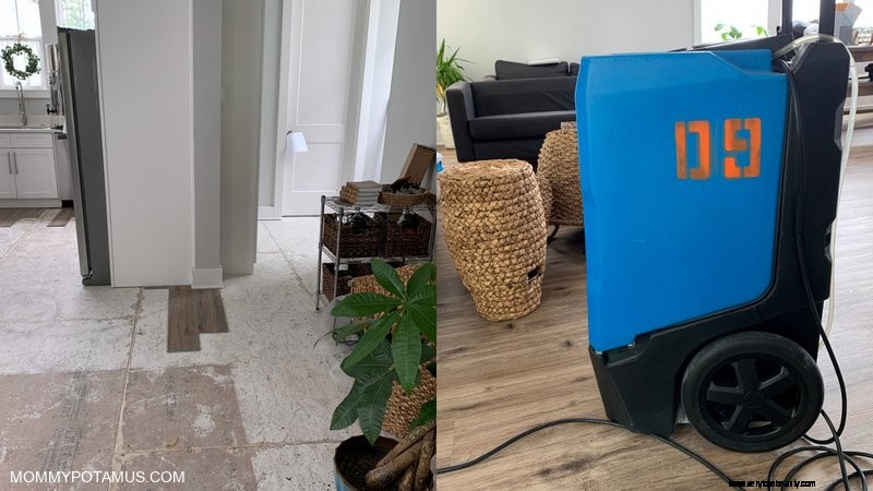 Flood Recovery: Essential Lessons Learned from a House Flood