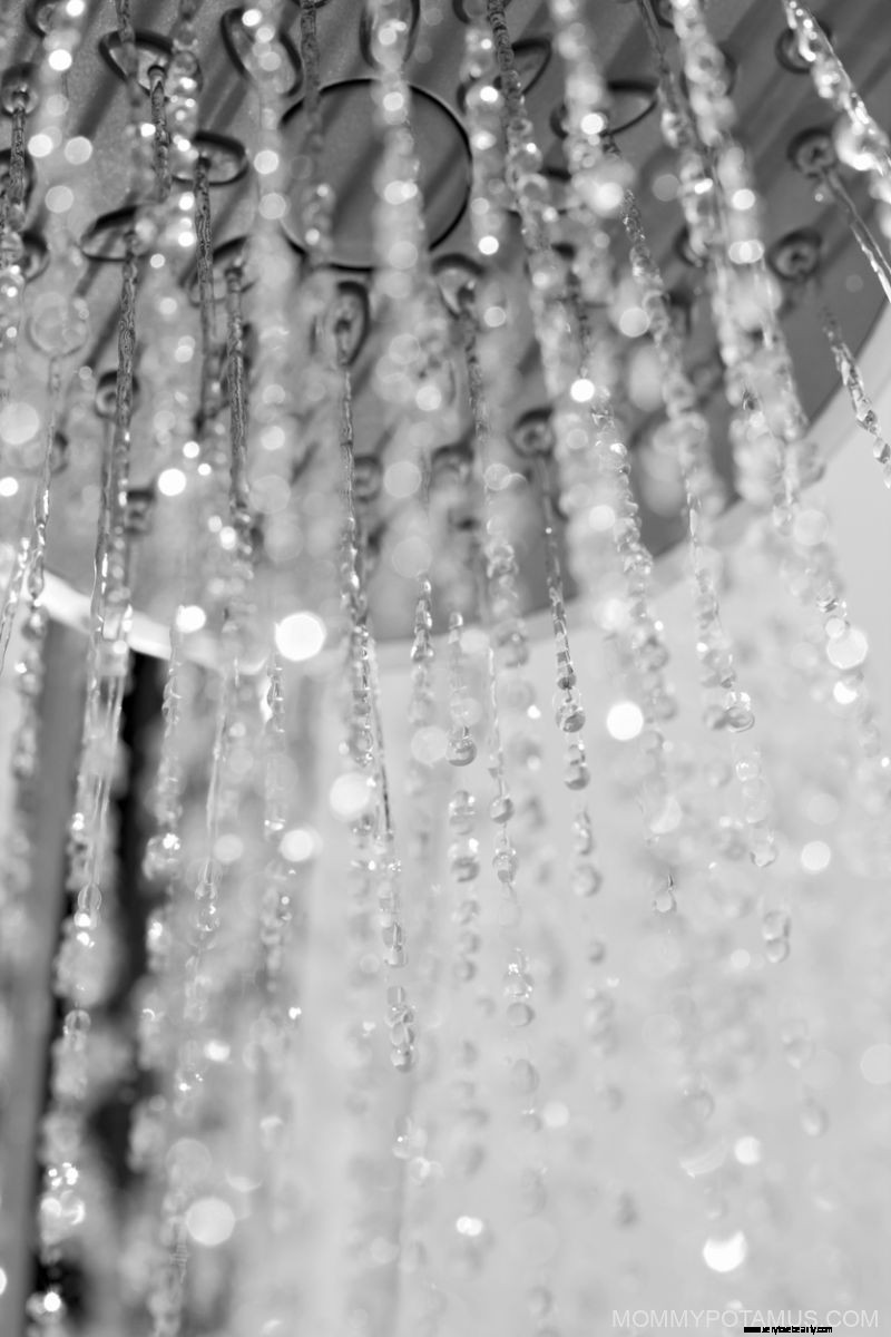 Top Shower Filters of 2024: Cleaner Water & Better Showering