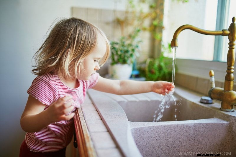 Comprehensive 2022 Home Water Filter Guide: Purity & Health