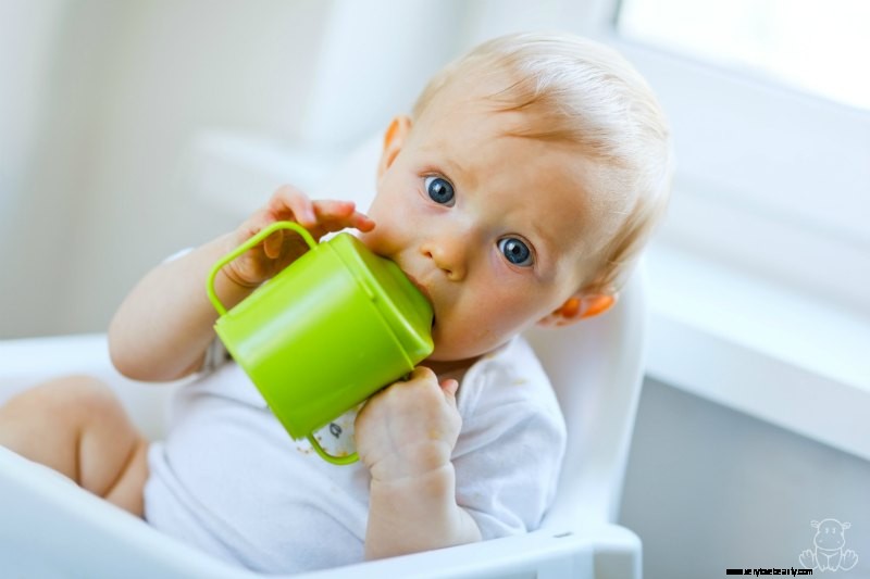 BPA-Free Isn t Always Safe: Understanding Bisphenol Concerns