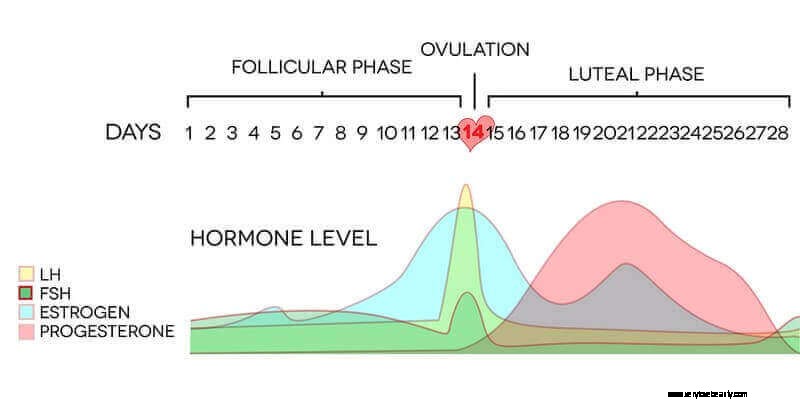 Understanding Hormone Testing: A Comprehensive Guide