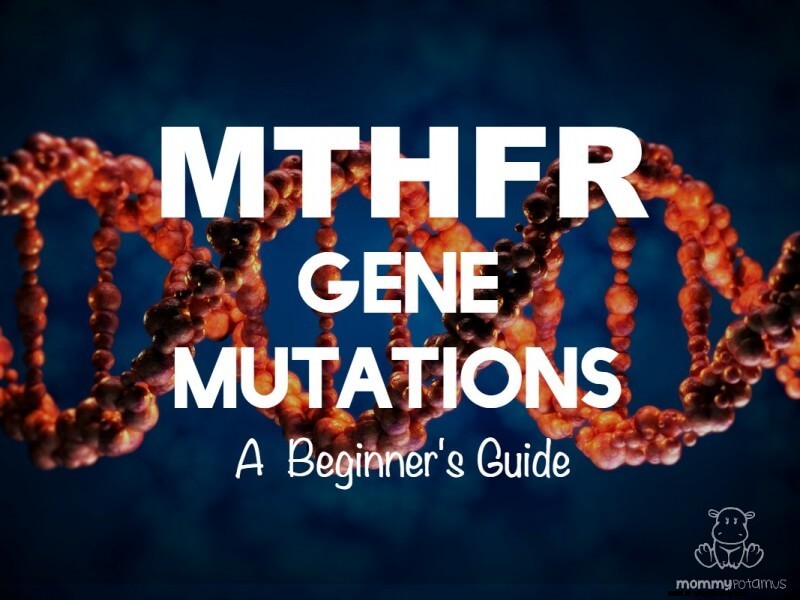 Understanding MTHFR Gene Mutations: Causes, Symptoms & Support