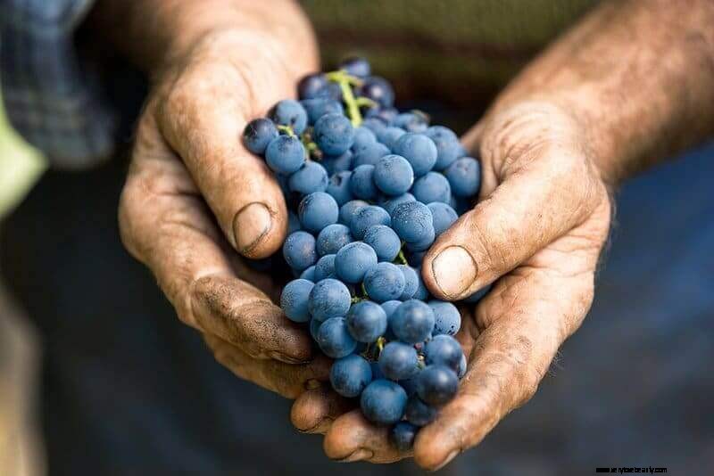 Wine and Health: Exploring the Benefits and Risks